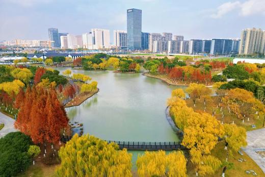 小红书|周末、端午不加价！￥599起/晚，宿【平湖卓越铂尔曼酒店】家庭房+自助早餐+亲子游玩套餐，背靠城市绿肺，俯瞰平湖美景，萌宠喂养，另有含晚餐/棒球乐园/3间夜套餐可选！有效期2025年5月31日 商品图2