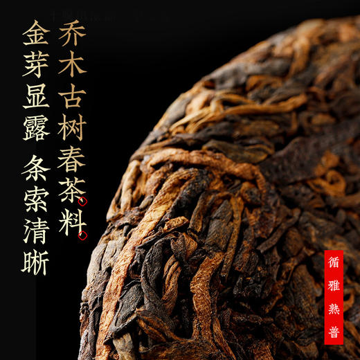 茶马世家 循雅普洱生熟双饼礼盒装 商品图1