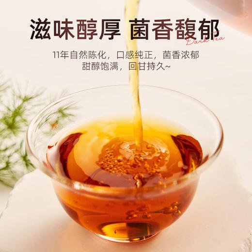 茶马世家湖南安化黑茶正品2013年散装茯砖颗粒200g 商品图8