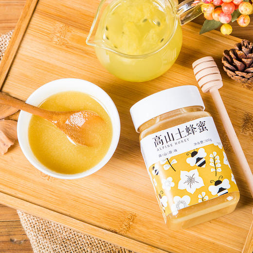 【宜昌助农馆】高山土蜂蜜 500g 商品图4