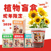 【10盒限定植物盲盒】小学生DIY创意蛇年盆栽迷你桌面绿植 儿童礼物 种植吧春天植物 商品缩略图0