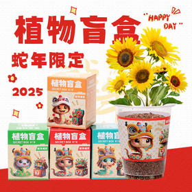 【10盒限定植物盲盒】小学生DIY创意蛇年盆栽迷你桌面绿植 儿童礼物 种植吧春天植物