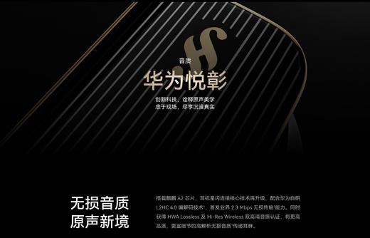 HUAWEI   FreeBuds Pro 4 悦彰耳机 商品图4