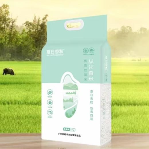 夏日香粒丝苗米2.5kg 商品图0