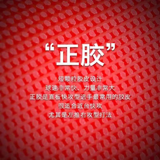 红双喜套胶（C8）长胶 商品图3