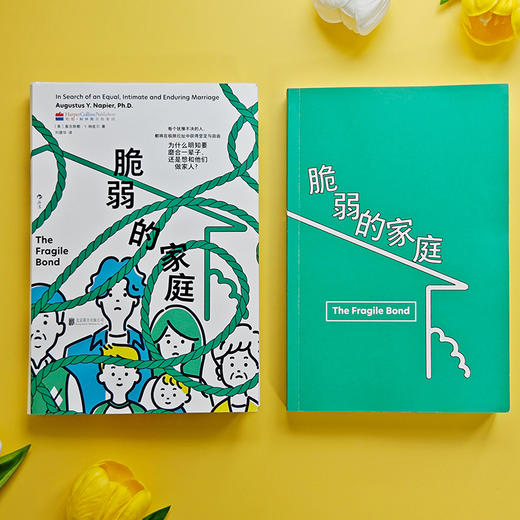 脆弱的家庭 《热锅上的家庭》作者力作！ 商品图1