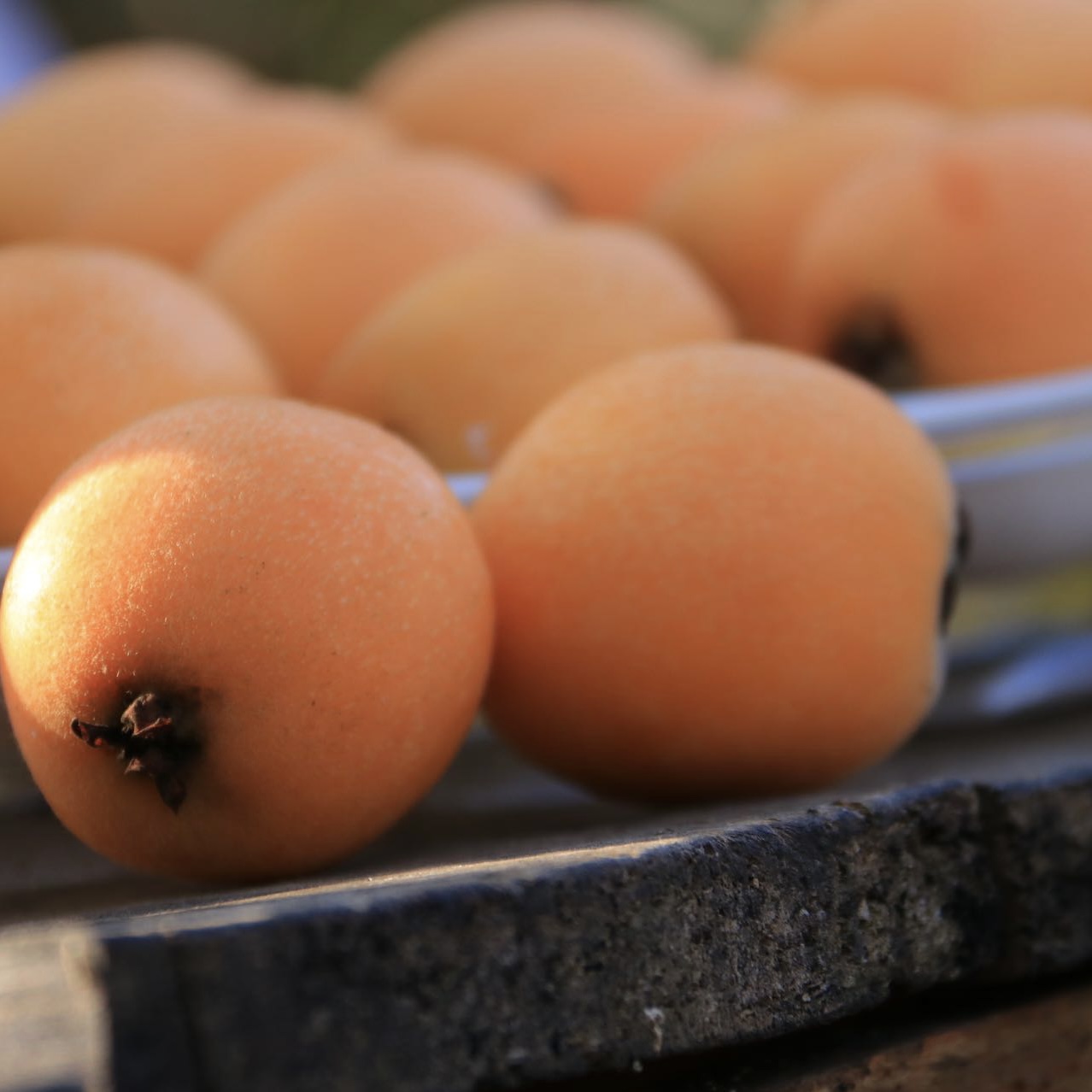 【云南长虹枇杷】顺丰到家 新鲜采摘 早春“黄金果” 果肉细腻 水润清甜 皮薄肉厚 汁水充足 多种规格任选