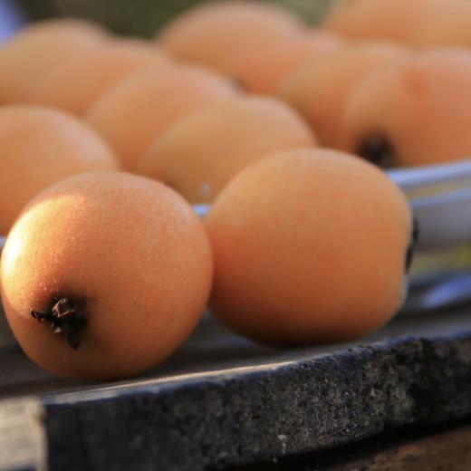 【云南长虹枇杷】顺丰到家 新鲜采摘 早春“黄金果” 果肉细腻 水润清甜 皮薄肉厚 汁水充足 多种规格任选 商品图0