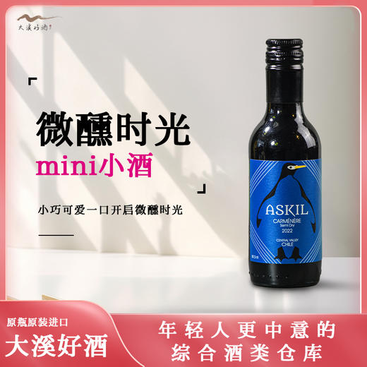 爱丝姬佳美娜半干红葡萄酒（6支装） 商品图0