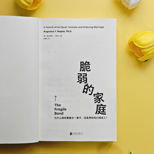 脆弱的家庭 《热锅上的家庭》作者力作！ 商品图2