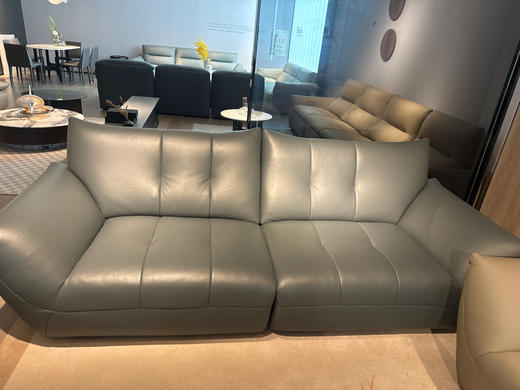 PSS008沙发/皮沙发 商品图0