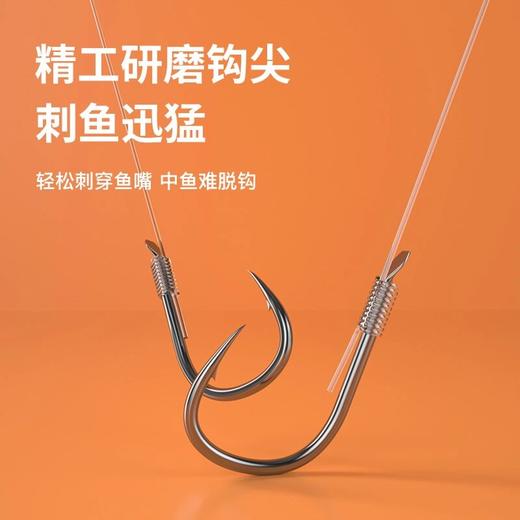 佳钓尼伏魔鲢鱅仕挂鲢鳙子线钓组双钩双线成品伊势尼鱼钩成品 商品图3