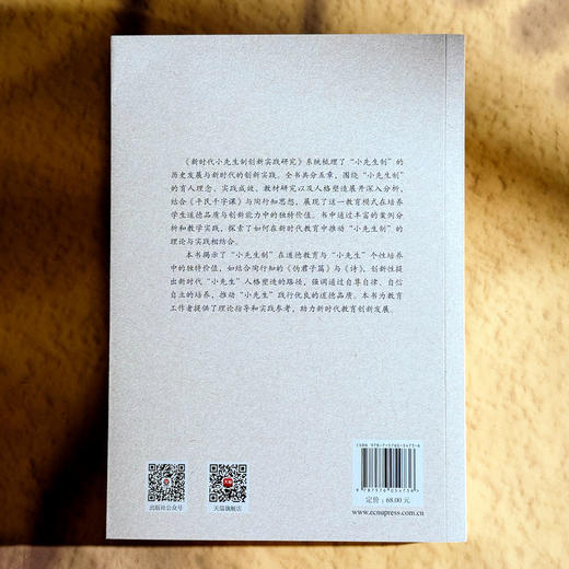 新时代小先生制创新实践研究 于涛 陶行知教育思想与新时代教育 商品图2