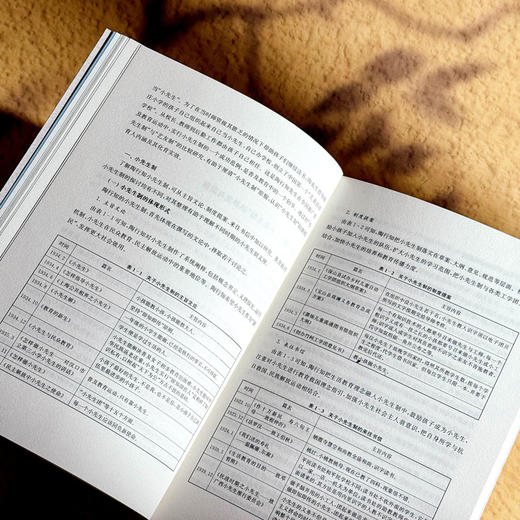 新时代小先生制创新实践研究 于涛 陶行知教育思想与新时代教育 商品图8