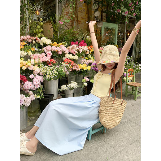 <曾小咸推荐>现货秒杀！卖完不补 ！微信粉丝打折价！！小清新蓝半身裙 商品图2