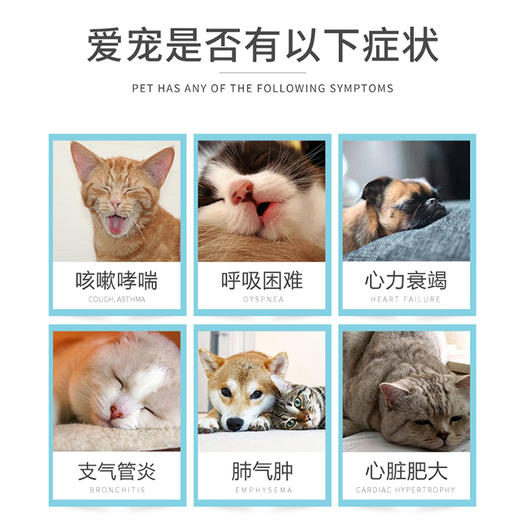 合宠肺心康氨茶碱猫狗宠物咳嗽哮喘呼吸痉挛支气管炎肺气肿大心脏 商品图3