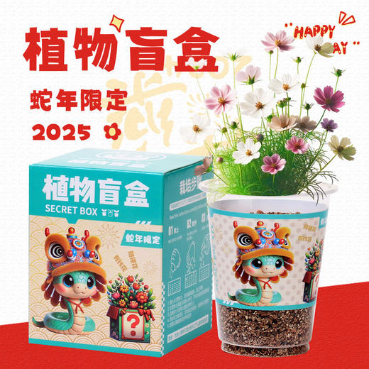 【云优选】（39元10盒限定植物盲盒）小学生DIY创意蛇年盆栽迷你桌面绿植 儿童礼物 种植吧春天植物 商品图3