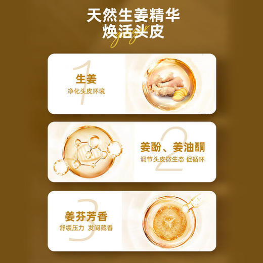 【官方正品】云南白药养元青生姜洗发露强根健发500ml普洱蓬松洗发水大瓶装植萃洗发水大瓶装无硅油 商品图9