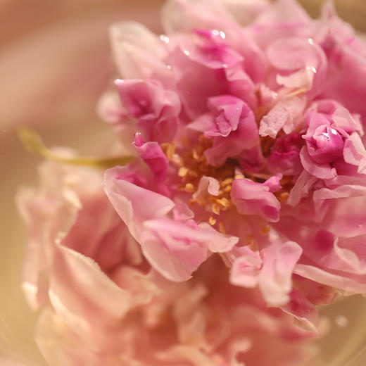 玫瑰花冠茶 | 30g/盒 平阴重瓣红玫瑰 红润气色养身花茶 少点盐 商品图4