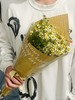 洋甘菊一束 商品缩略图1