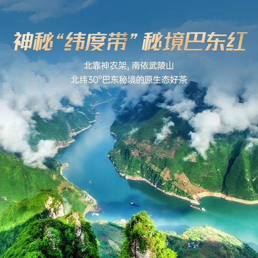 正山堂 巴东红·北纬30°礼盒装 湖北特级红茶叶正宗送礼长辈225g 商品图4