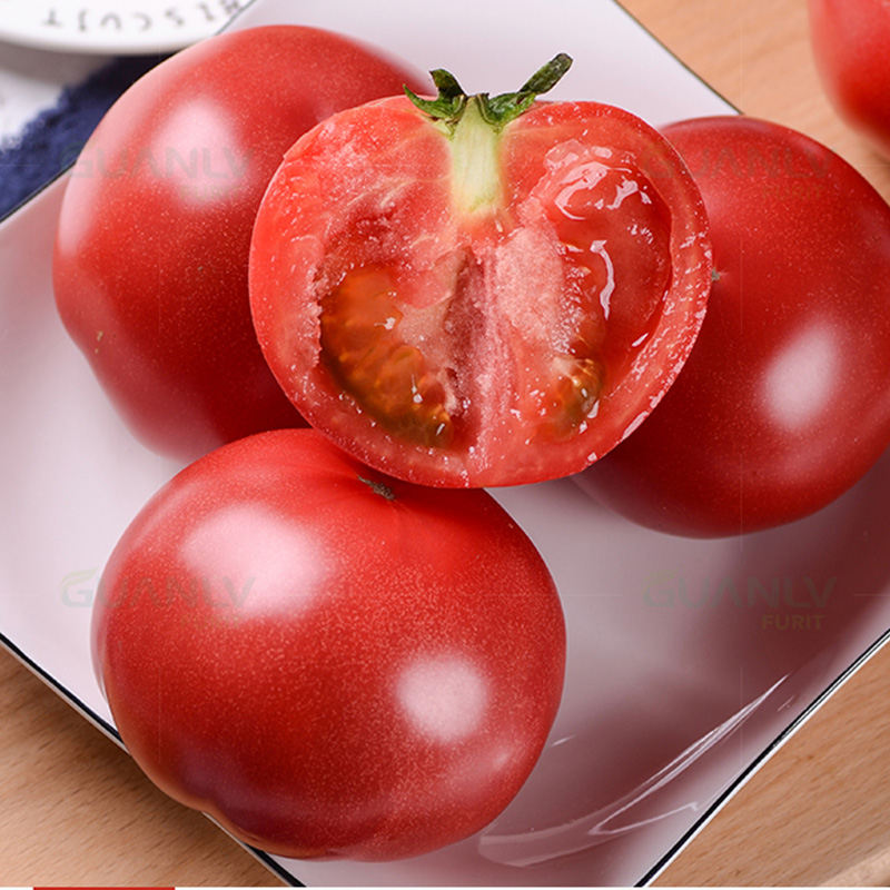 陕西 普罗旺斯西红柿 酸甜可口 多汁