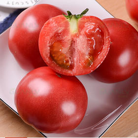陕西 普罗旺斯西红柿 酸甜可口 多汁