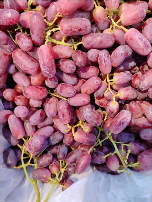 金手指葡萄一斤 商品图1