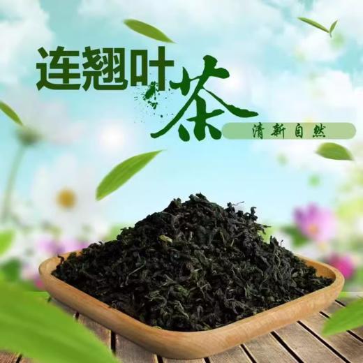 山西太行山连翘叶茶100g  黄花条茶叶新鲜连翘叶制作香气纯正滋味浓厚日常养生茶 商品图0