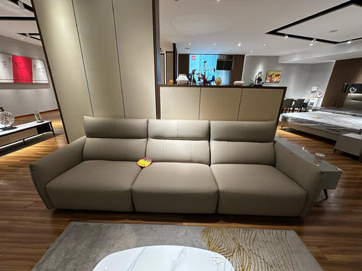 XJ-S9506沙发 商品图0