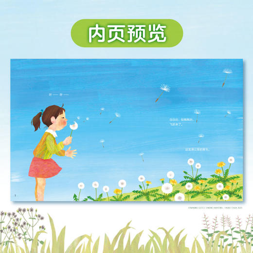小天角 蒲公英为什么要飞起来？+谁在橡果上打洞？+落叶中的自然课 商品图8