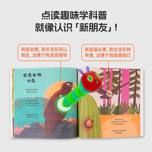 【小七老师】小彼恩出品   鸟和鱼儿童自然科普绘本 套装2册 点读版 商品图1
