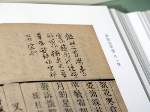 《梦窗词两种》（全二册）| 古籍影印 繁体竖排 三书分藏三地 shou次合璧彩色影印 商品图9