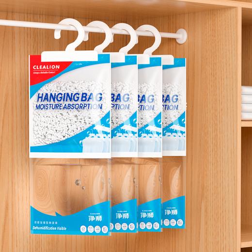 告别潮湿烦恼！春季刚需除湿袋【净狮除湿袋】 商品图0