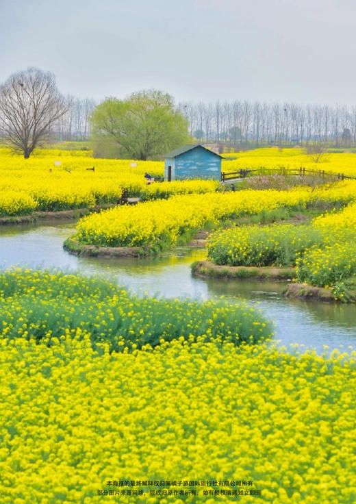 【烟花三月下江南&醉美扬州】南京+扬州+泰州+无锡+常熟+溧阳&纯玩 6 天 商品图2