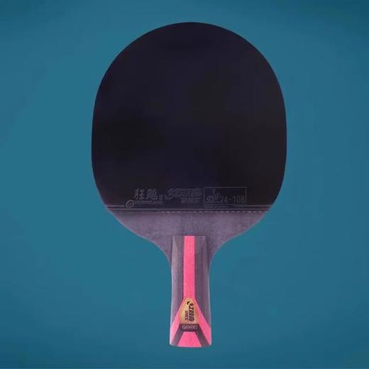 红双喜8 星横拍双面反胶乒乓球拍H8002 商品图1