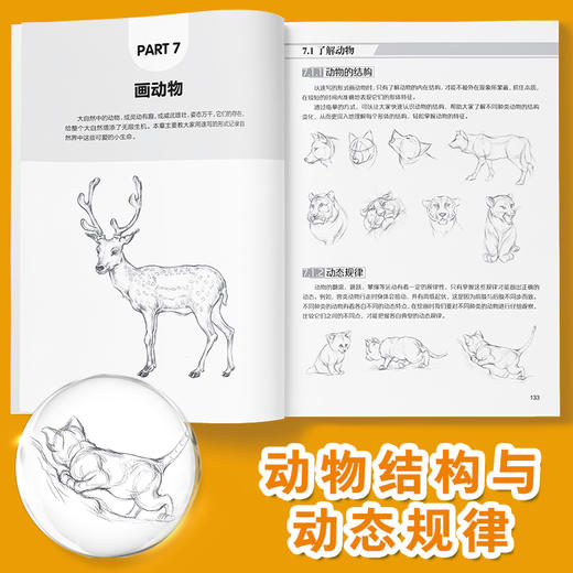 墨点美术素描速写基础入门教程画册书临摹范本初学者零基础自学画画入门教材美术生专用零基础速写一本通铅笔素描临摹画册 商品图14