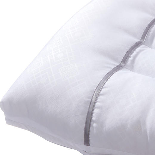 富安娜决明子香蒲草本对枕芯 70*45cm*2 商品图2