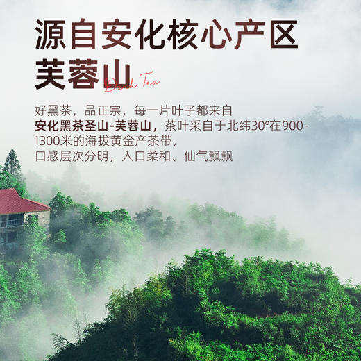 茶马世家湖南安化黑茶正品2013年散装茯砖颗粒200g 商品图3