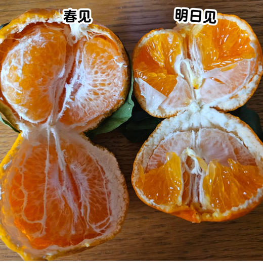 柑橘皇后明日见，果子硬度高，果肉紧实，汁水足，果香浓郁，9甜1酸！ 商品图3