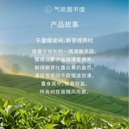 【茶香调香水】气味图书馆淡香水云雾绿茶香型50ml 商品图1