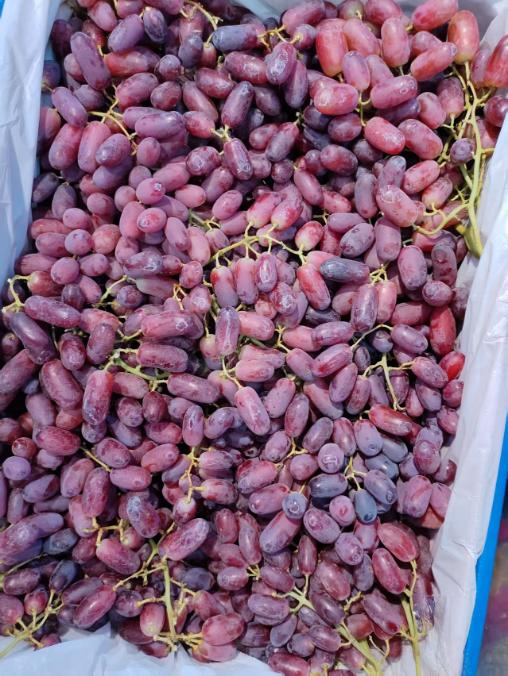 金手指葡萄一斤 商品图2