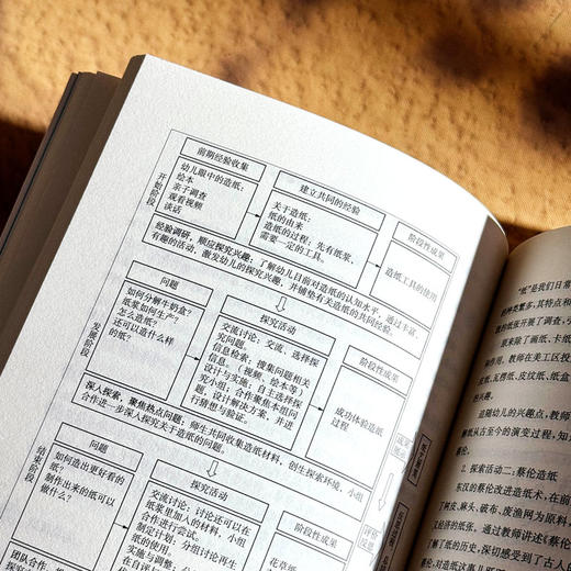 跨学科学习创意设计 中小学案例 课程治理现代化丛书 商品图12