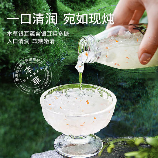 姚淑先鲜炖本草银耳羹-260克*6瓶小润瓶 红枣枸杞味  桂花味 原味 商品图3