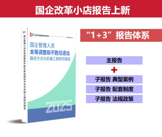 研究报告《国企管理人员末等调整和不胜任退出路径方法与实操工具研究报告（2025）》 商品图1