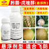 肟菌酯戊唑醇柑橘砂皮树脂病水稻纹枯稻瘟病小麦赤霉病杀菌剂正品 商品缩略图1