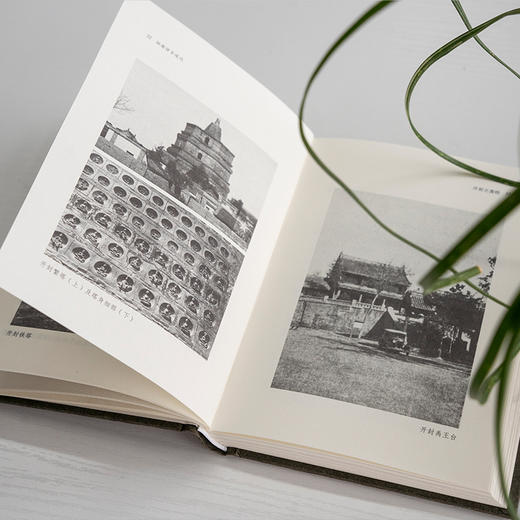 征途访古述记 商品图1