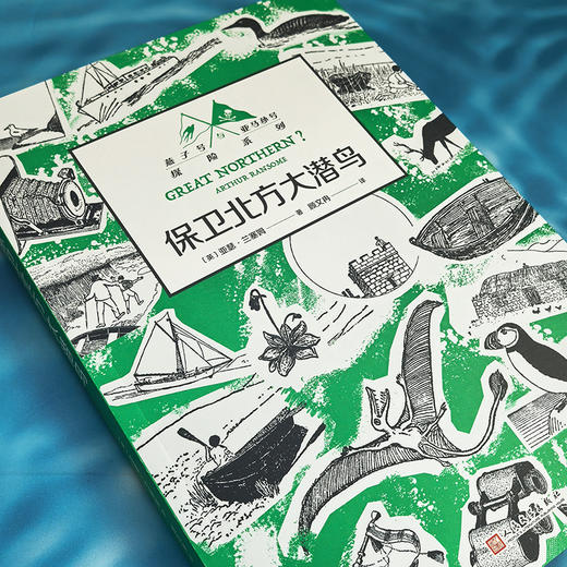 保卫北方大潜鸟（英国儿童探险小说！无数渴望冒险、痴迷想象世界的孩子和大人都因它而扬起心帆！） 商品图2