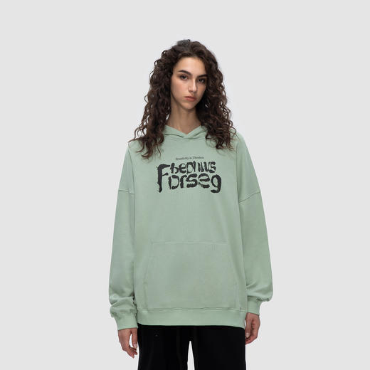 FDR 原创国潮涂鸦印花重磅连帽卫衣男女春秋美式高街情侣上衣帽衫 商品图2