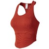 跃牌【美西西系列】假两件运动型健身内衣女美背聚拢跑步速干瑜伽服文胸WX-193 商品缩略图4